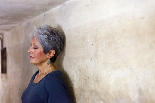 joan_baez_MetropoleHanoi_wall